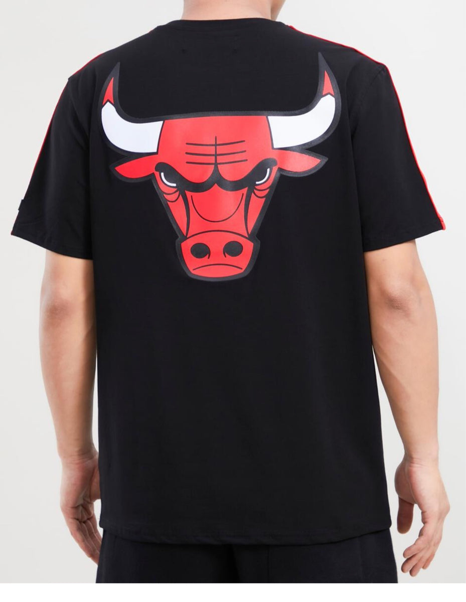 Pro Standard Men's Chicago Bulls Jersey Tee Shirt – Unleashed Streetwear  and Apparel