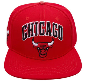 Pro Standard Chicago Bulls SnapBack Hat