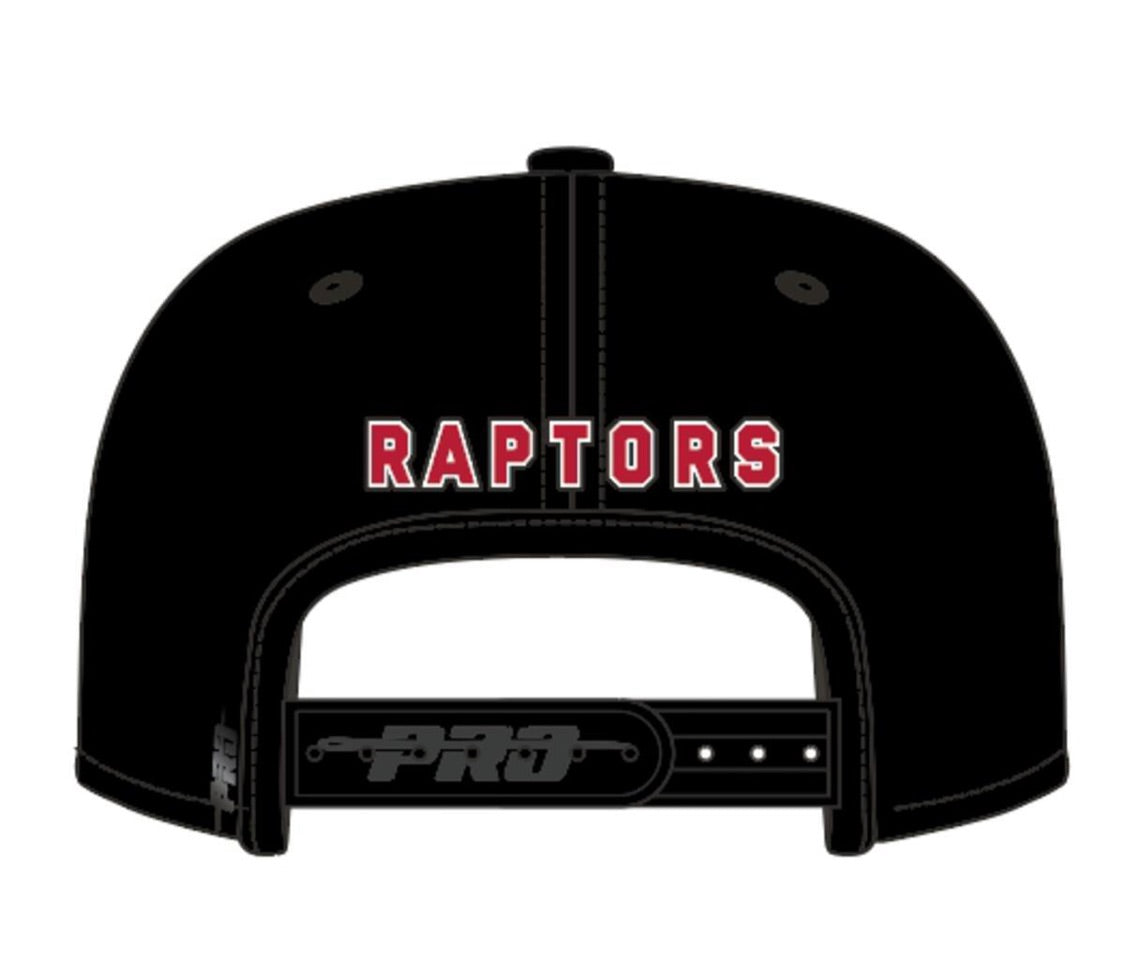 Pro Standard Toronto Raptors Hat